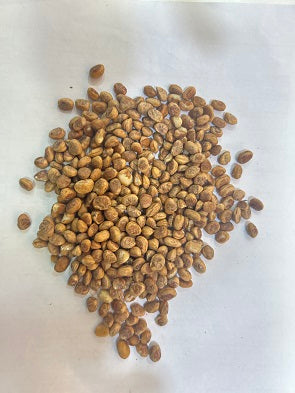 CHIRONGI @SARAPARRAPU