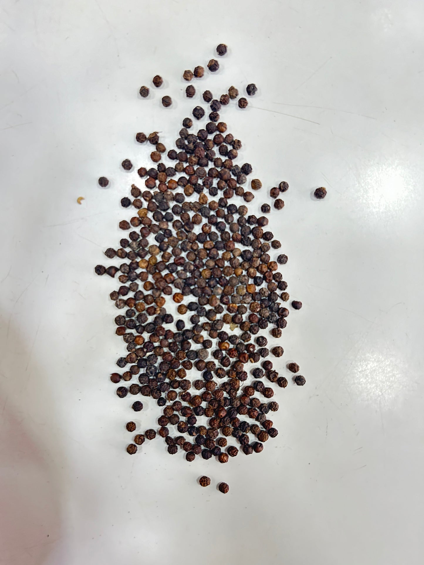 BLACK PEPPER