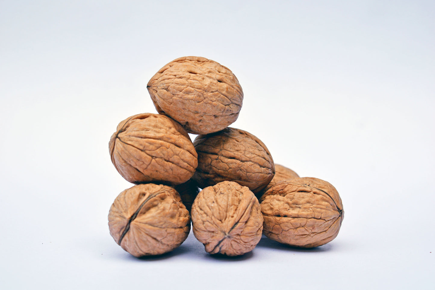 WALNUT INSHELL