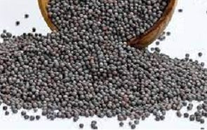 MUSTARD SEEDS BLACK