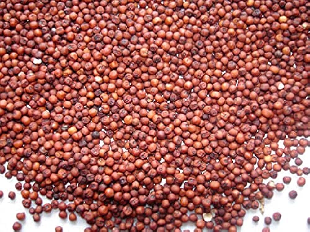 RAGI